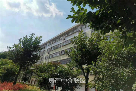 可按揭，南北通透双阳台，4楼采光好，三小七中，有钥匙看房